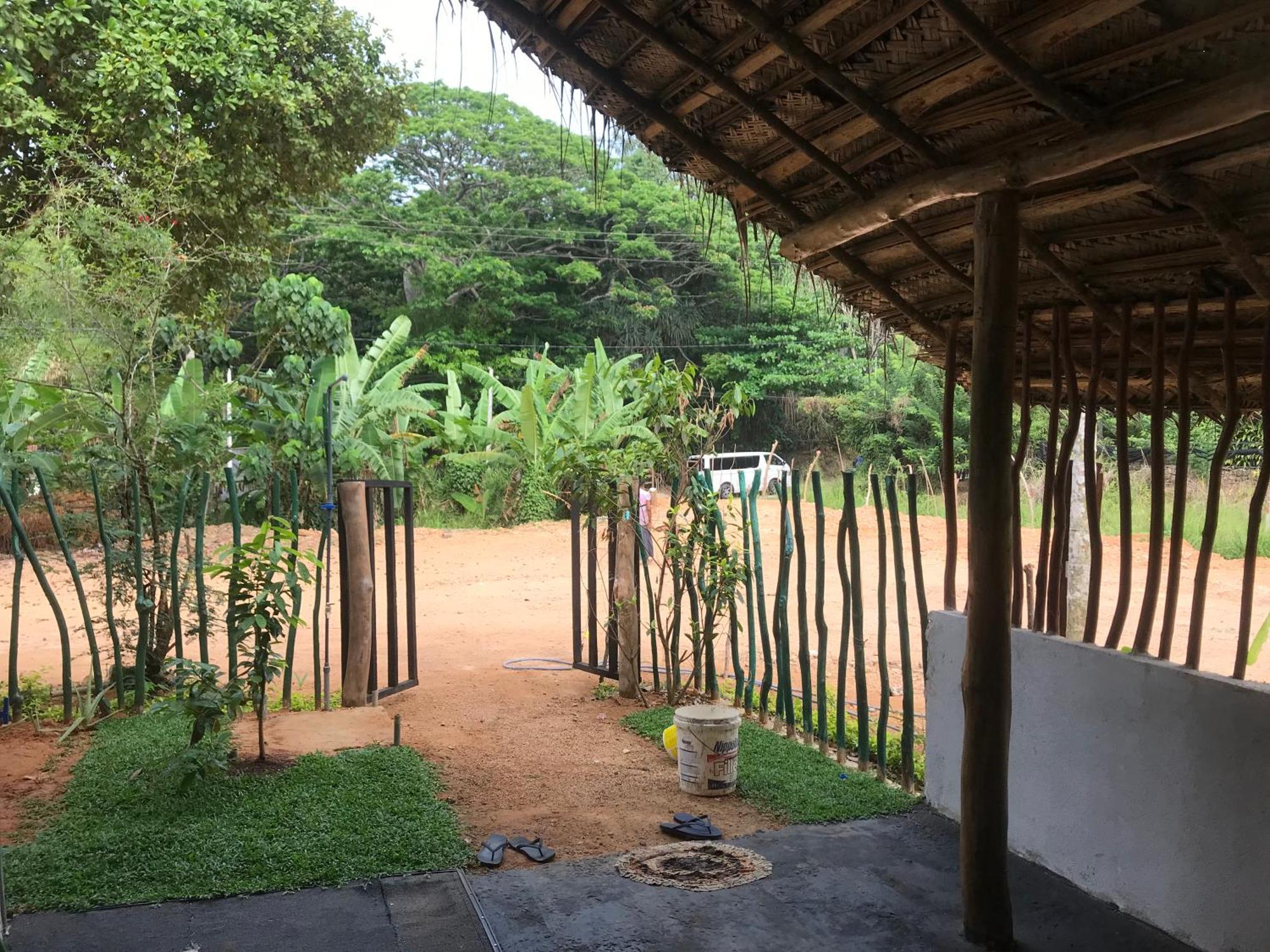 Dillenia Canopy Mirissa Exterior foto